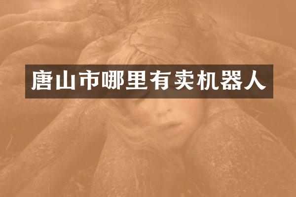 唐山市哪里有卖机器人