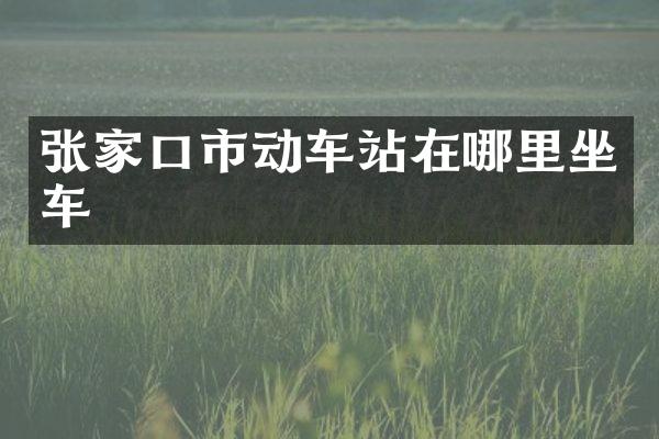 张家口市动车站在哪里坐车
