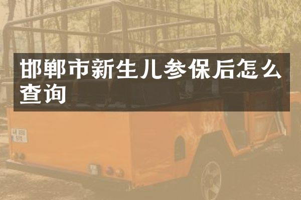 邯郸市新生儿参保后怎么查询
