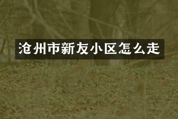 沧州市新友小区怎么走