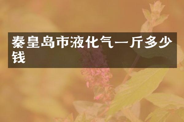 秦皇岛市液化气一斤多少钱