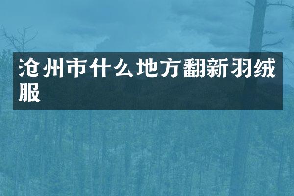 沧州市什么地方翻新羽绒服