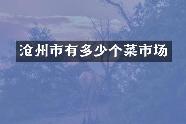 沧州市有多少个菜市场