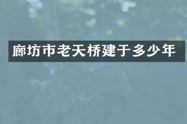 廊坊市老天桥建于多少年