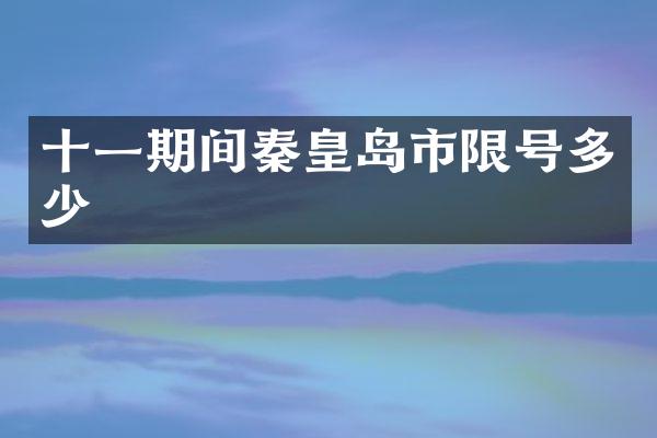 十一期间秦皇岛市限号多少