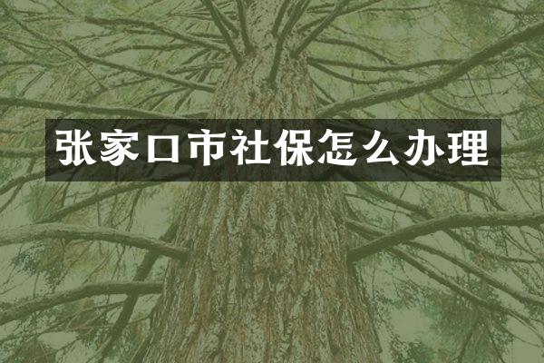 张家口市社保怎么办理