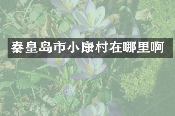 秦皇岛市小康村在哪里啊