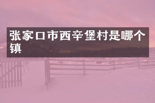 张家口市西辛堡村是哪个镇