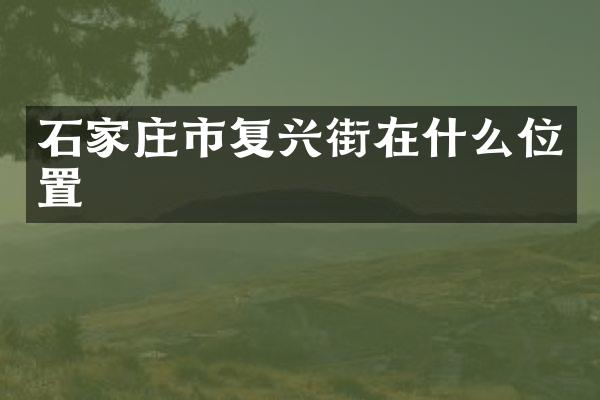 石家庄市复兴街在什么位置