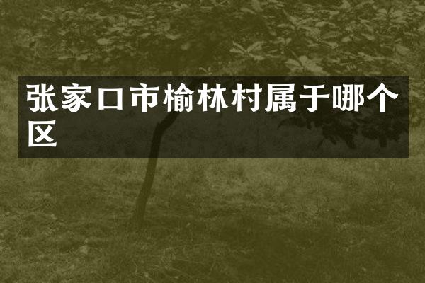 张家口市榆林村属于哪个区