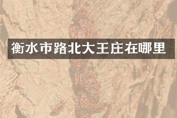 衡水市路北大王庄在哪里