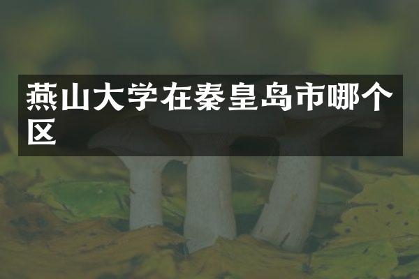 燕山大学在秦皇岛市哪个区