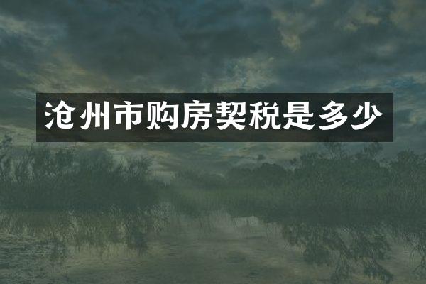 沧州市购房契税是多少