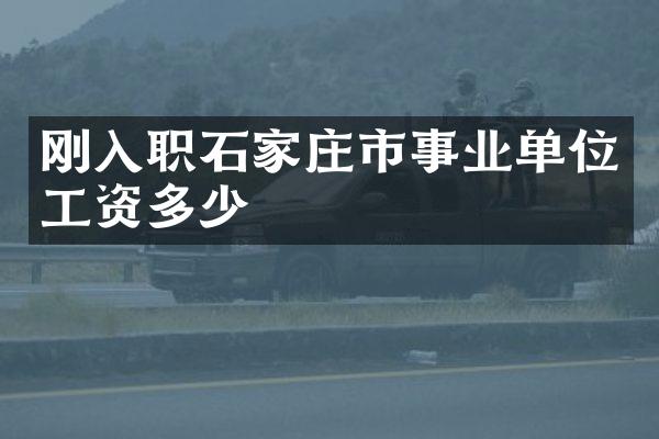 刚入职石家庄市事业单位工资多少