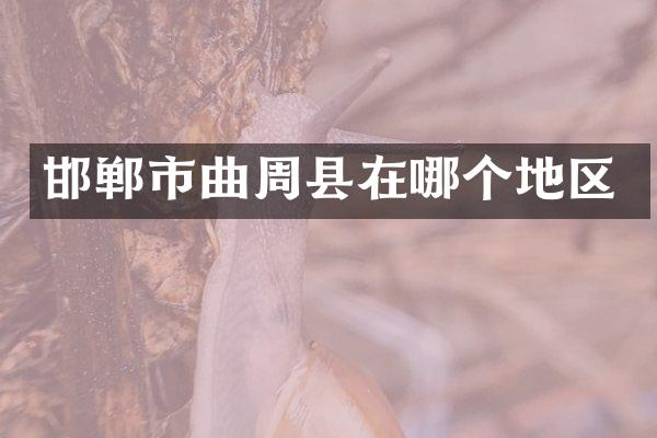 邯郸市曲周县在哪个地区