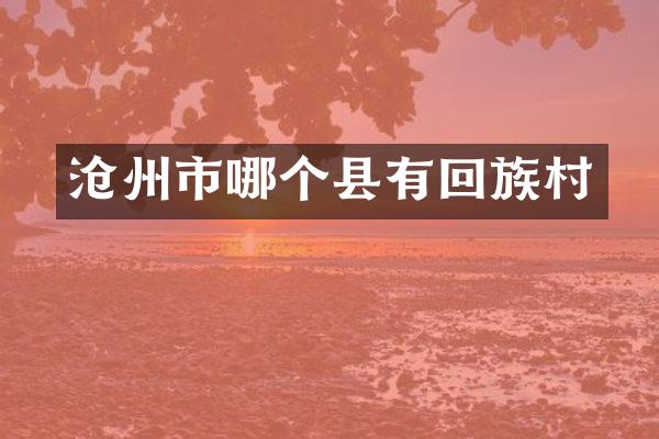沧州市哪个县有回族村