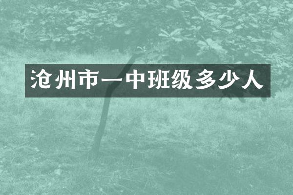 沧州市一中班级多少人