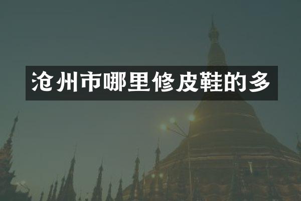 沧州市哪里修皮鞋的多