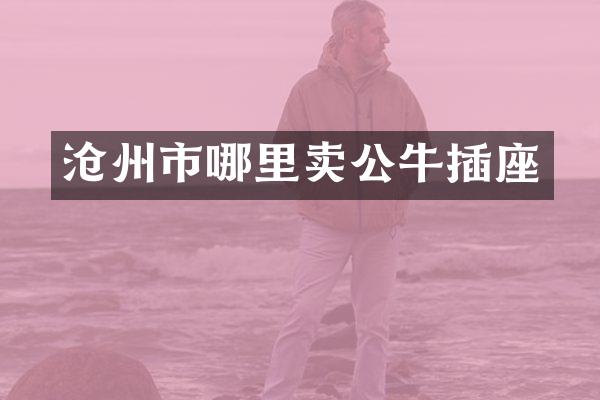 沧州市哪里卖公牛插座