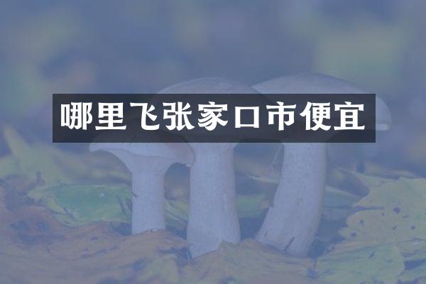 哪里飞张家口市便宜
