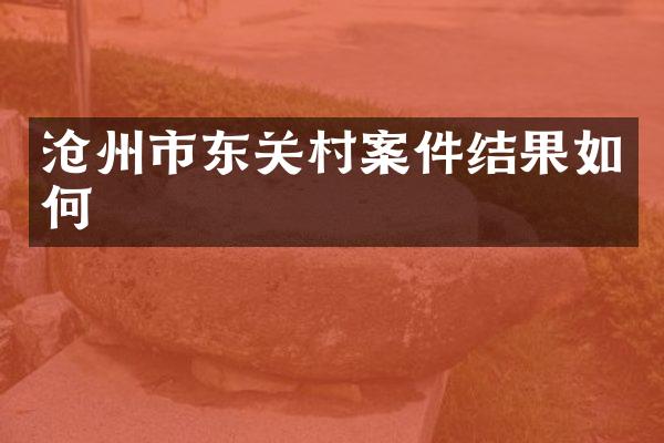沧州市东关村案件结果如何