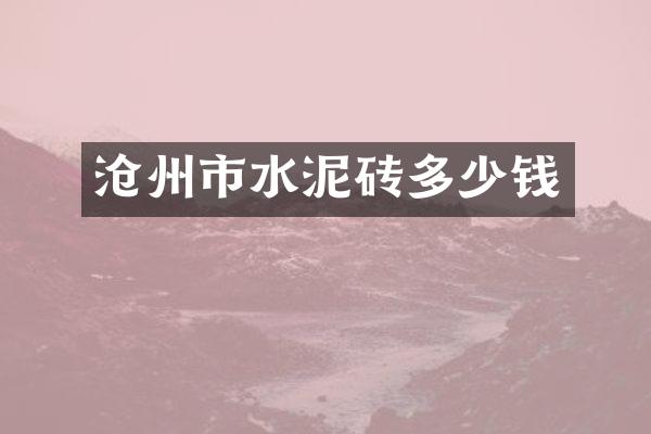 沧州市水泥砖多少钱