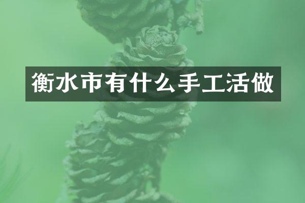 衡水市有什么手工活做