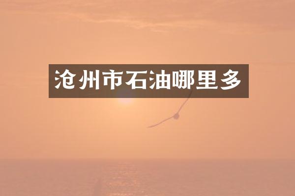 沧州市石油哪里多
