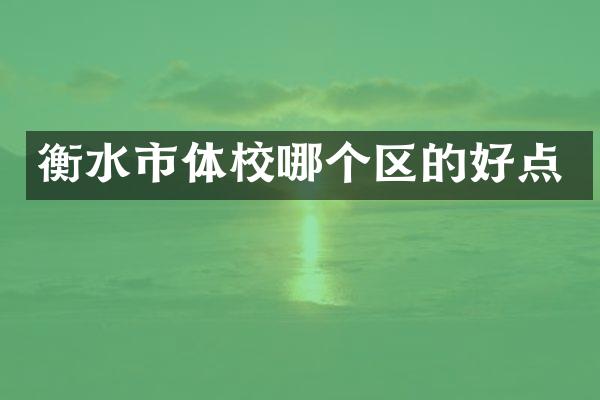 衡水市体校哪个区的好点