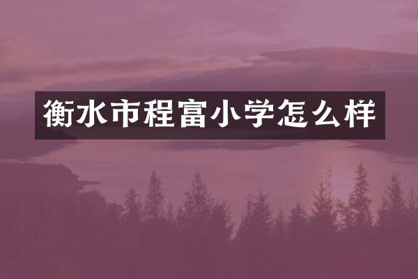 衡水市程富小学怎么样