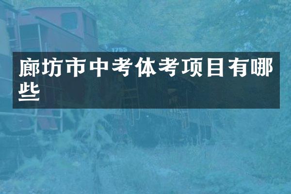 廊坊市中考体考项目有哪些