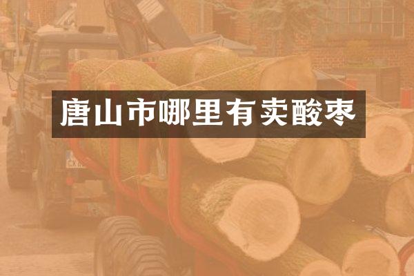 唐山市哪里有卖酸枣