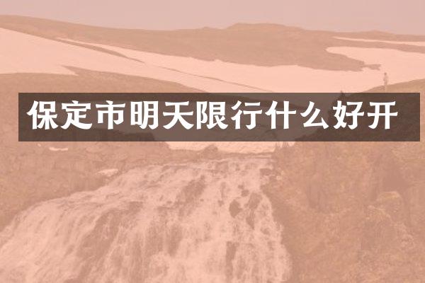 保定市明天限行什么好开
