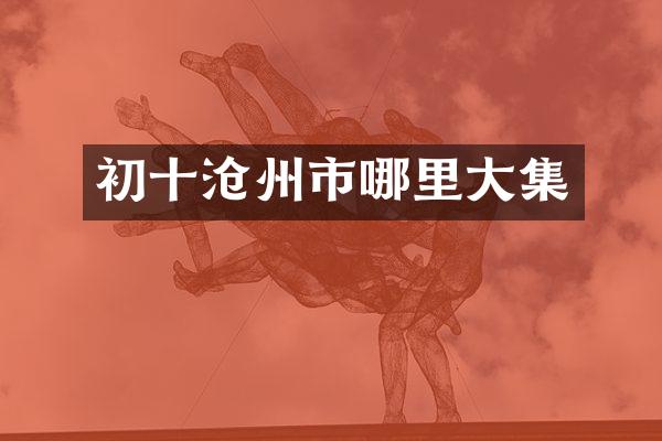 初十沧州市哪里大集