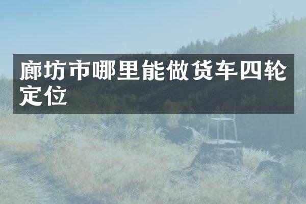 廊坊市哪里能做货车四轮定位