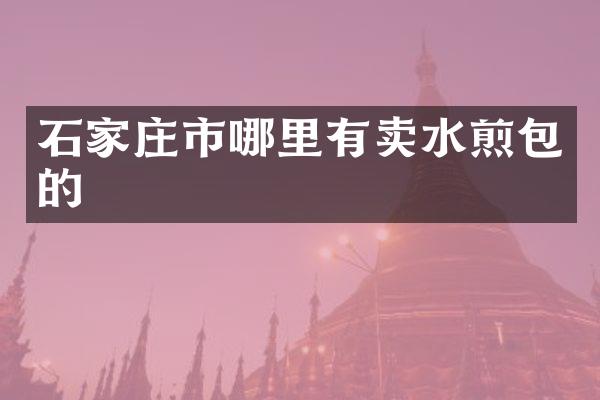 石家庄市哪里有卖水煎包的