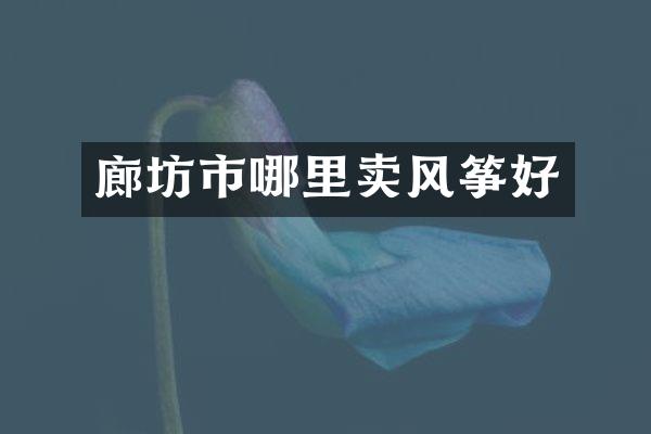 廊坊市哪里卖风筝好