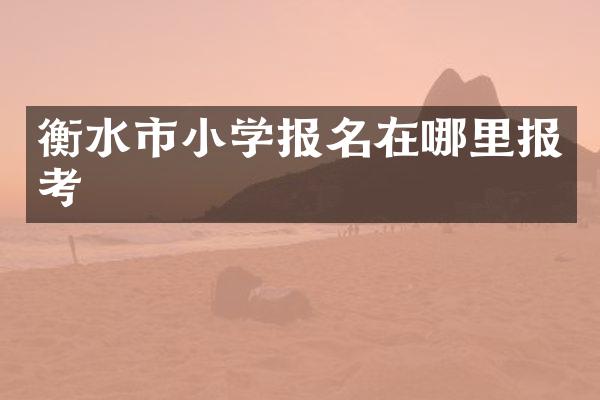 衡水市小学报名在哪里报考