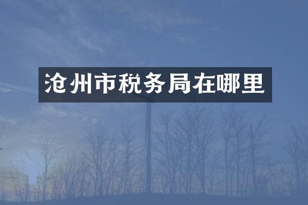 沧州市税务局在哪里