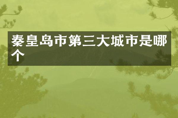 秦皇岛市第三大城市是哪个