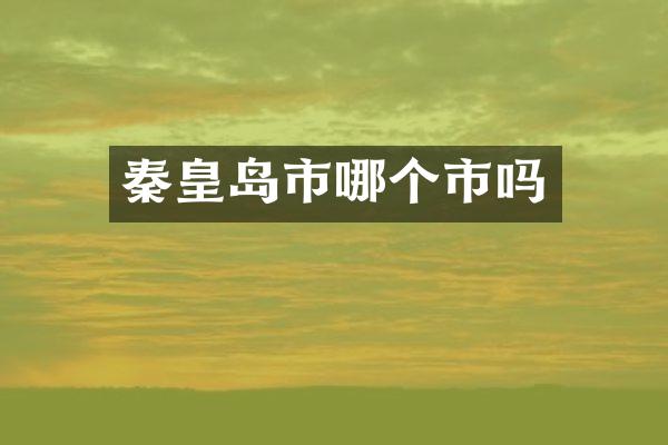 秦皇岛市哪个市吗