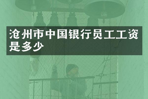 沧州市中国银行员工工资是多少