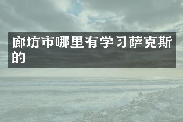 廊坊市哪里有学习萨克斯的