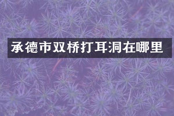 承德市双桥打耳洞在哪里