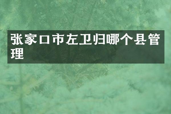 张家口市左卫归哪个县管理