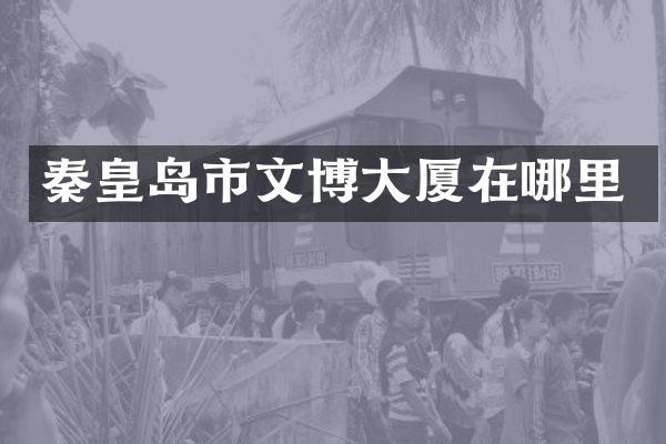 秦皇岛市文博大厦在哪里