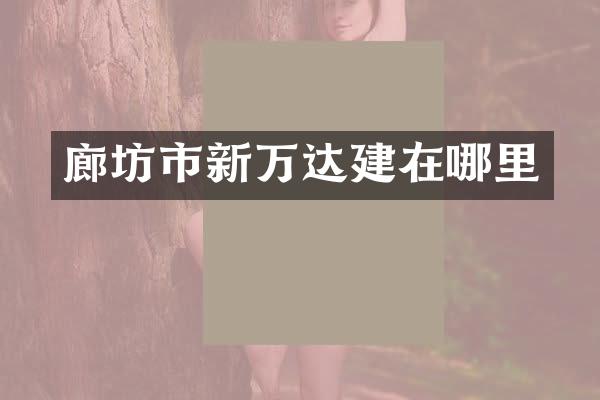 廊坊市新万达建在哪里