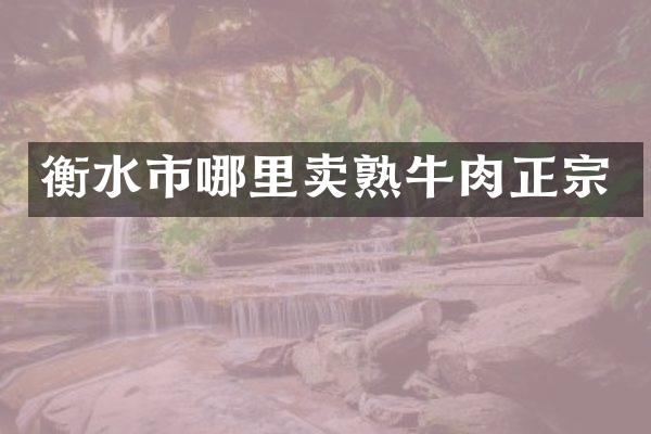 衡水市哪里卖熟牛肉正宗