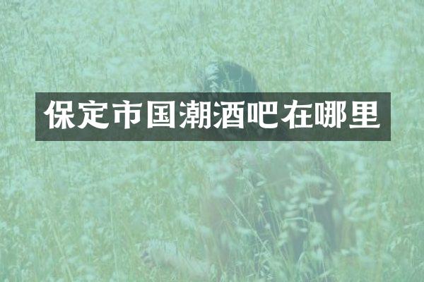 保定市国潮酒吧在哪里