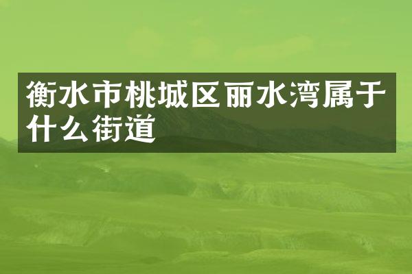 衡水市桃城区丽水湾属于什么街道